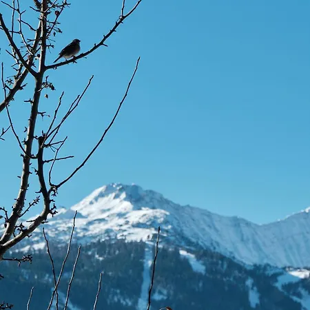 Haus Lorea Apartman Ehrwald