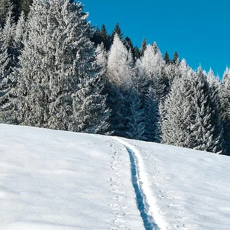 Haus Lorea Apartmán Ehrwald