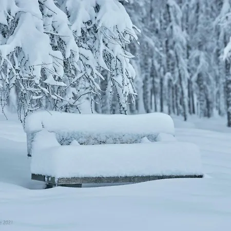 Haus Lorea * Ehrwald