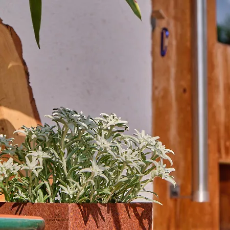 Haus Lorea Apartman Ehrwald