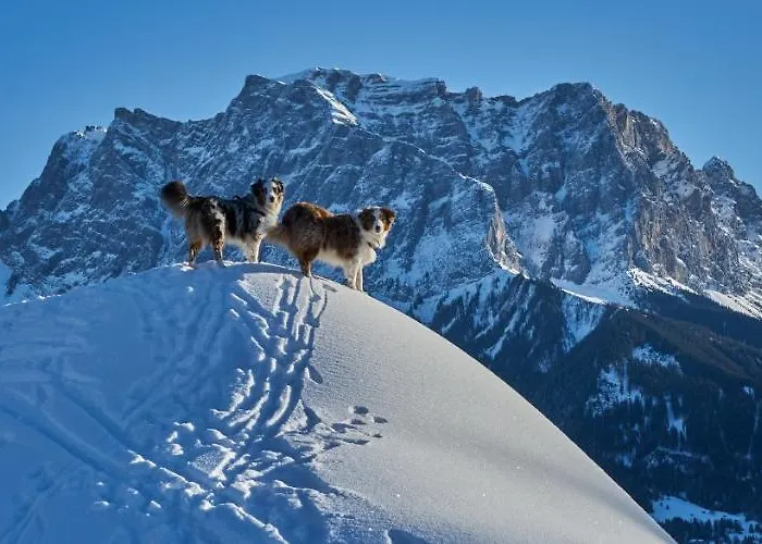 Апартаменты Haus Lorea