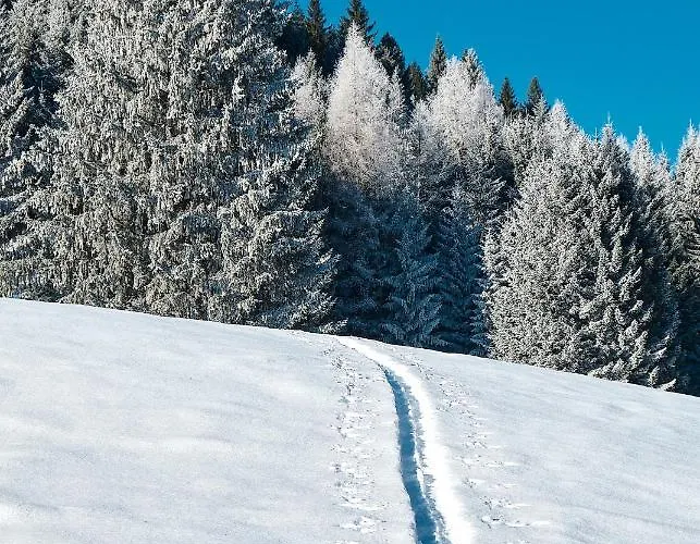 Haus Lorea Lejlighed Ehrwald
